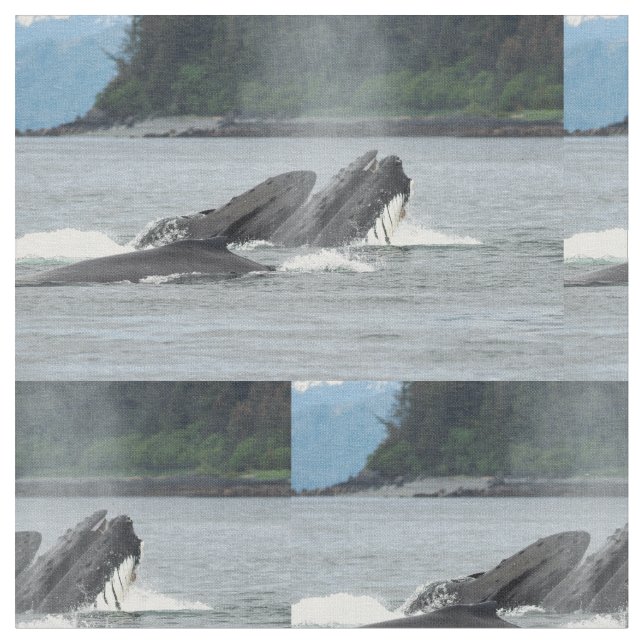 Feeding Humpback Whales Fabric (Close Up)