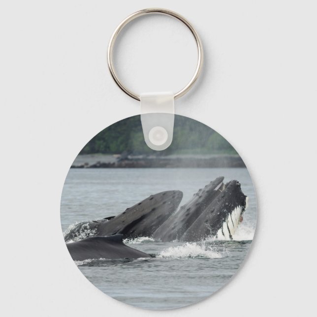 Feeding Humpback Whales Key Ring (Front)