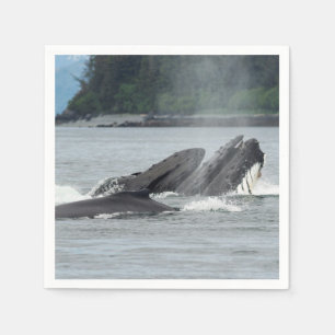 Feeding Humpback Whales Napkin