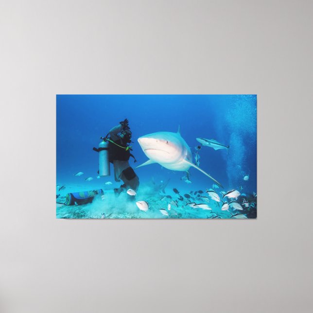 Feeding The Bull Canvas Print (Front)