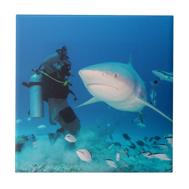 Feeding The Bull Tile (Front)