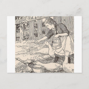 Feeding The ducks Postcard