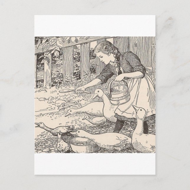 Feeding The ducks Postcard (Front)