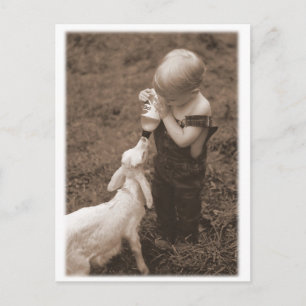 Feeding the Goat Postcard