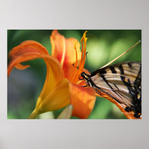 Feeding Time at the Lillies 6 Poster