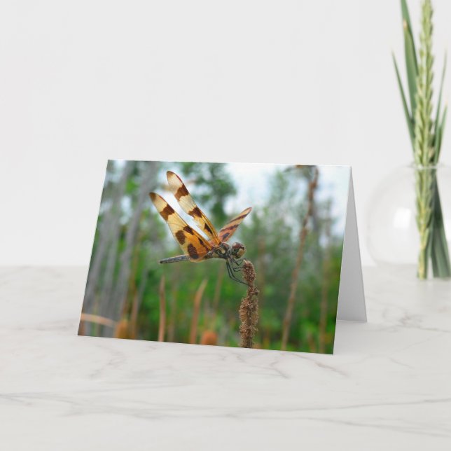 Feeding Time Card (Front)