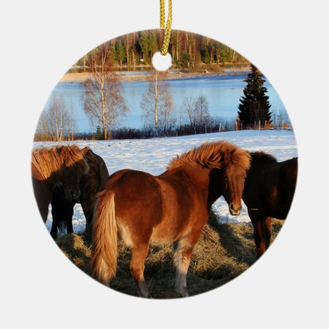 Feeding Time Ceramic Tree Decoration (Front)