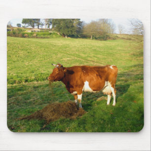 Feeding time for Guernsey cow Mouse Mat