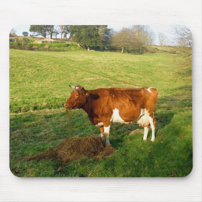 Feeding time for Guernsey cow Mouse Mat (Front)