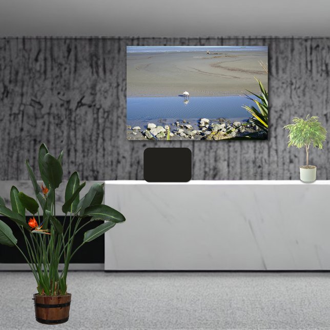 Feeding Time for Royal Spoonbill Canvas Print (Creator Uploaded)