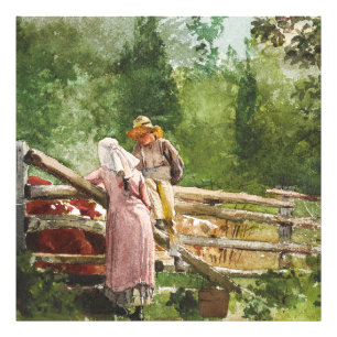 Feeding Time Photo Print