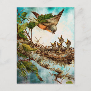 FEEDING TIME POSTCARD