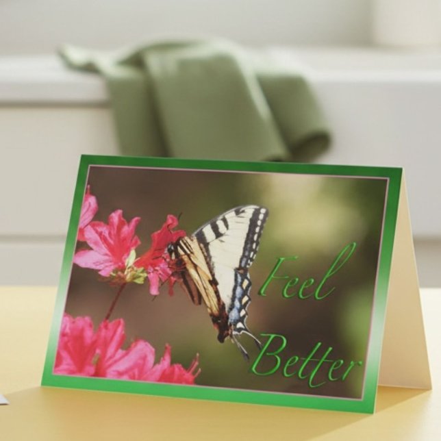 Feel Better Eastern Tiger Swallowtail Butterfly  Card (Creator Uploaded)
