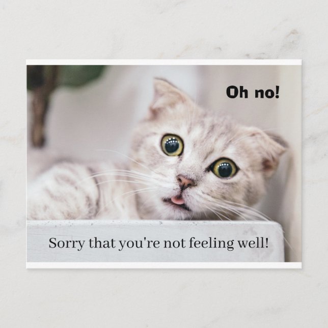 Feel Better Kitty Postcard (Front)