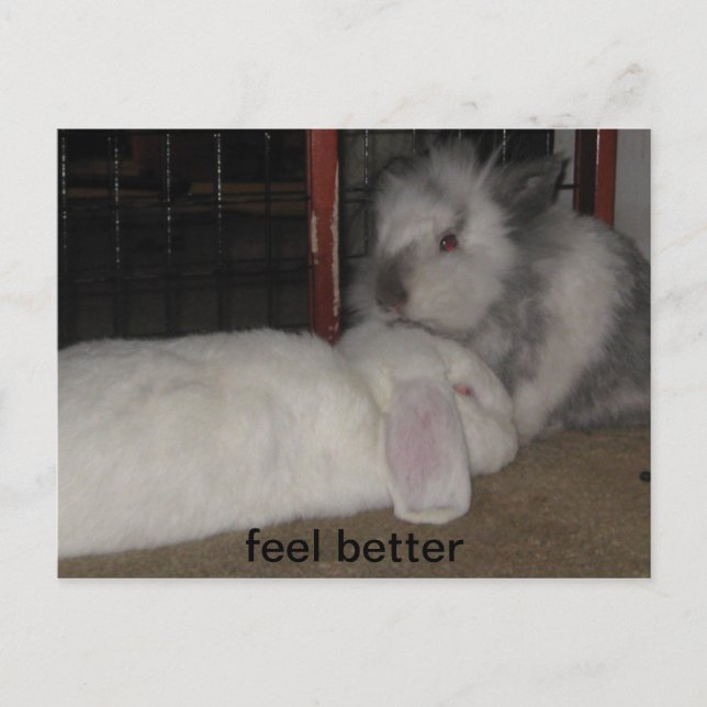 feel better postcard (Front)