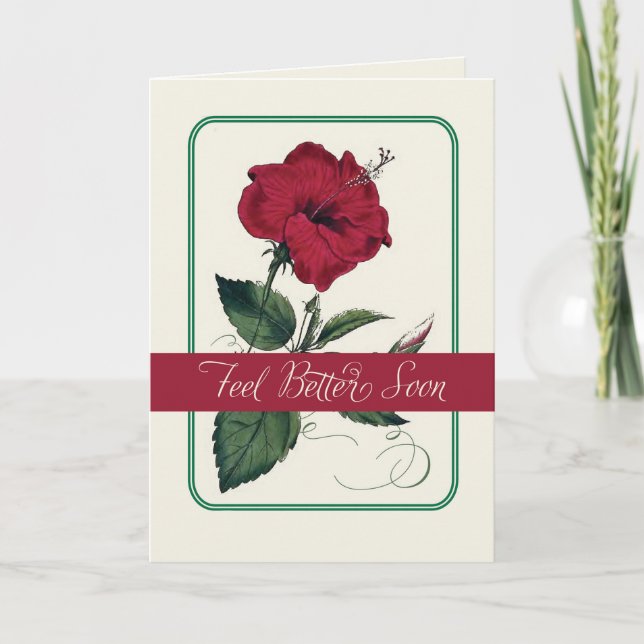 Feel Better, Red Hibiscus Flower, Religious Holiday Card (Front)