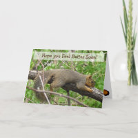 Feel Better Soon Funny Sleepy Squirrel