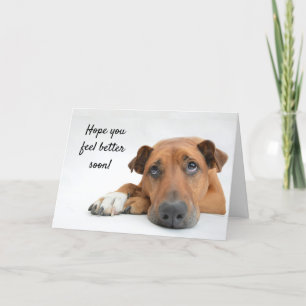 Feel Better Soon Sad Dog Get Well Card