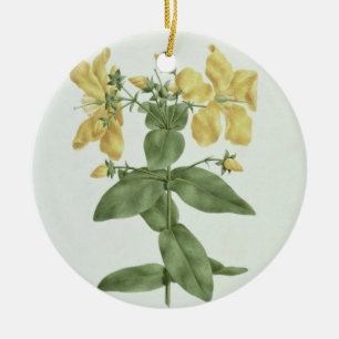 Feel-Fetch (Hypericum quartinianum) (w/c over grap Ceramic Tree Decoration