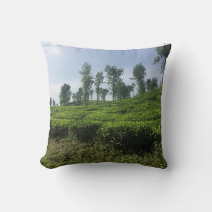 Feel like you are in middle of team estate & Sea Cushion