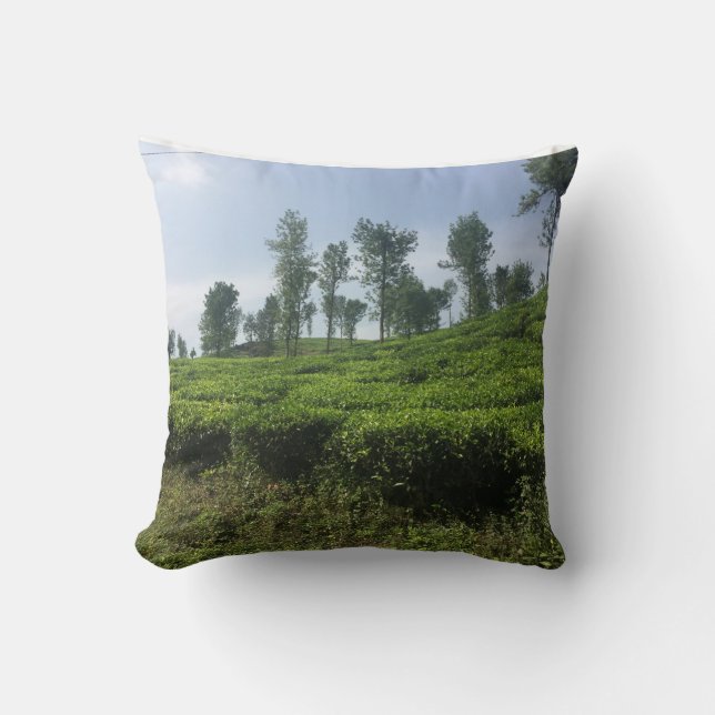 Feel like you are in middle of team estate & Sea Cushion (Front)