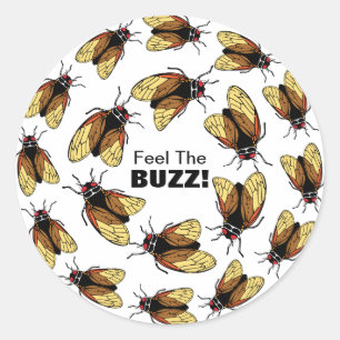 Feel the Buzz Cicada Magicicada Colourful Party Classic Round Sticker