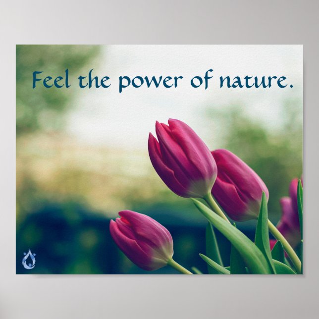 Feel the Power of Nature Poster (Front)
