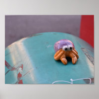 Feelin' Crabby Crab NYC Urban Street Photography