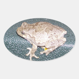 Feelin' Froggy! Oval Sticker