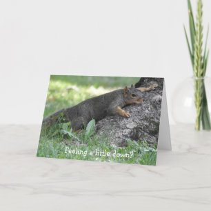 Feeling a little down? Cute Squirrel  Card