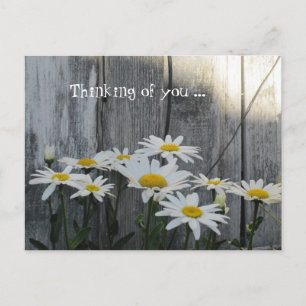 Feeling better with daisies. postcard