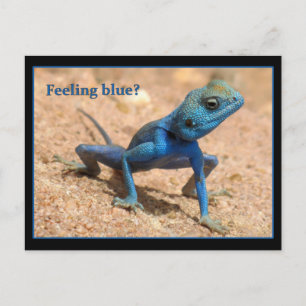 Feeling blue get well card