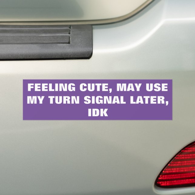 Feeling cute, may use may turn signal later, idk bumper sticker (On Car)