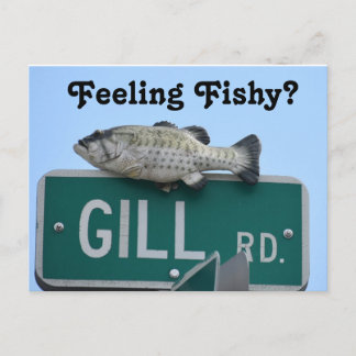 Feeling Fishy? Postcard