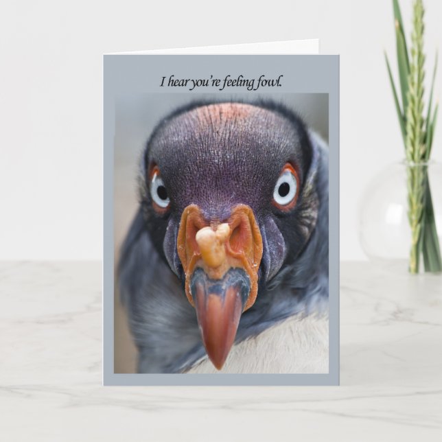 Feeling fowl, a hungey vulture get well soon card (Front)