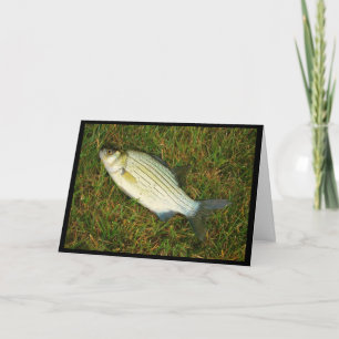 Feeling Like A Fish Out Of Water? Get Well Card