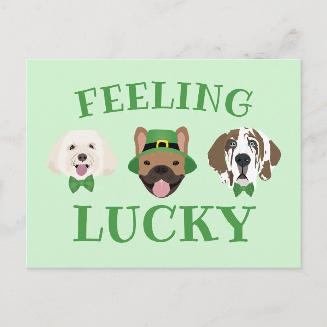 Feeling Lucky St Patricks Day Dog Faces Postcard (Front)