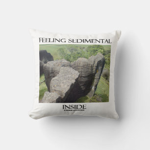 Feeling Sedimental Inside Limestone Geology Humour Cushion