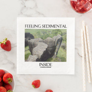 Feeling Sedimental Inside Limestone Geology Humour Napkin