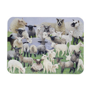 Feeling Sheepish Magnet