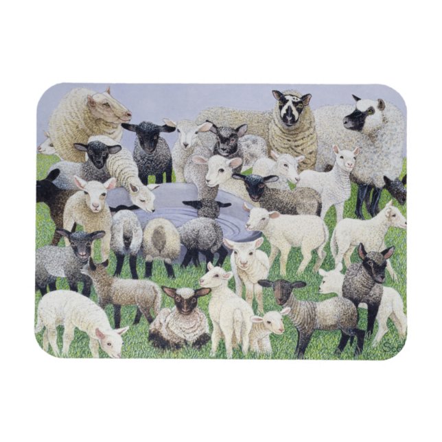 Feeling Sheepish Magnet (Horizontal)