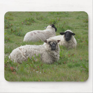 Feeling Sheepish Mouse Mat
