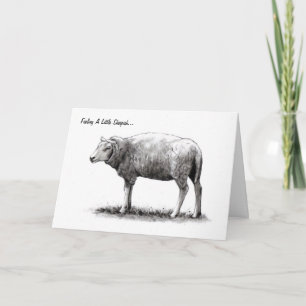 Feeling Sheepish: Sheep in Pencil: Apology Card
