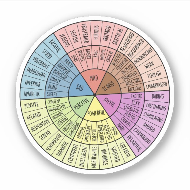 Feelings Are Valid, Self Care, Mental Health Gift (Front)