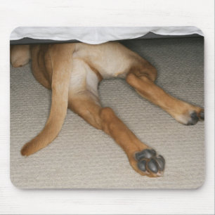 Feet and tail of yellow lab dog hidden under bed mouse mat