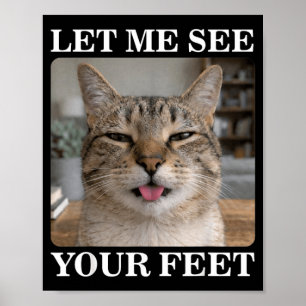 Feet Funny Cat Selfie Funny Cat Meme Men Women Poster