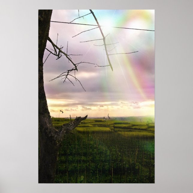 Feilds of Bali Poster (Front)