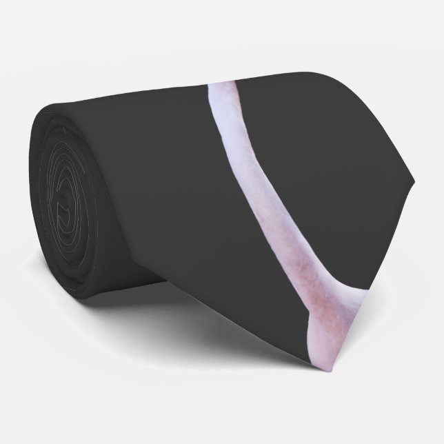 Feisty Flamingo Tie (Dark Grey) (Rolled)