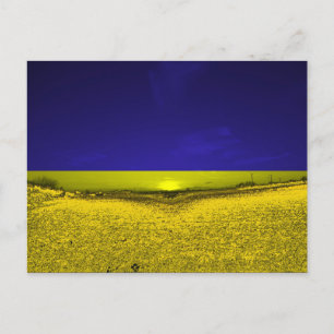 Feld in Farben der Ukraine Postcard