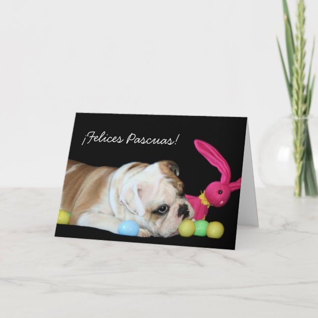 ¡Felices Pascuas!  tarjeta de bulldog Ingles Holiday Card (Front)
